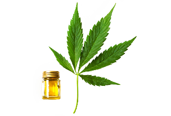 hemp oil Cannabis oil