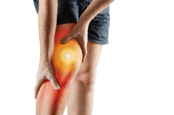 joint disease, cartilage destruction and inflammation